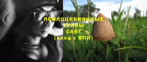 эйфоретик Алексин