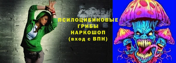 эйфоретик Алексин